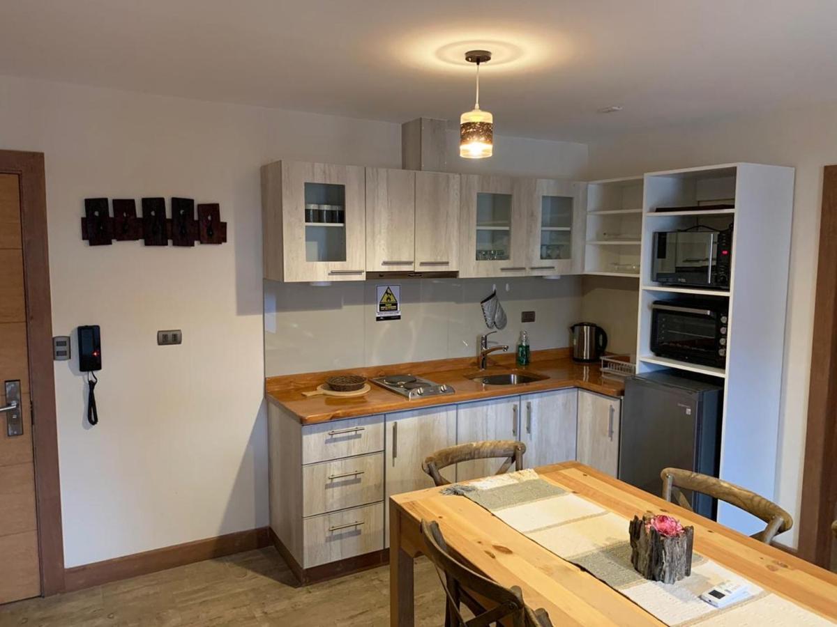 Entre Cumbres Apart Hotel Coyhaique Kültér fotó